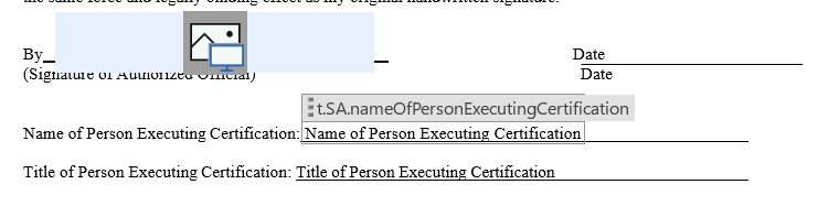 Schedule A Example Title and Tag for Name of Signer