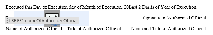 Schedule F Example Title and Tag for Name of Signer